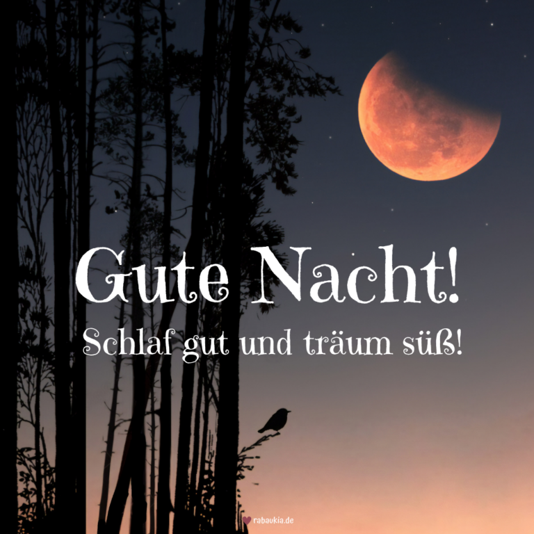 Wunderschöne Gute Nacht Schlaf Gut Und Träum Was Schönes Bilder Bilder